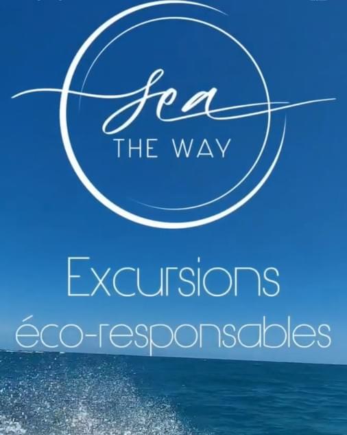 excursion-nautique-eco-martinique-seatheway