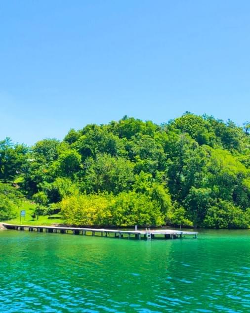 reserver-excursion-ecoresponsable-en-martinique