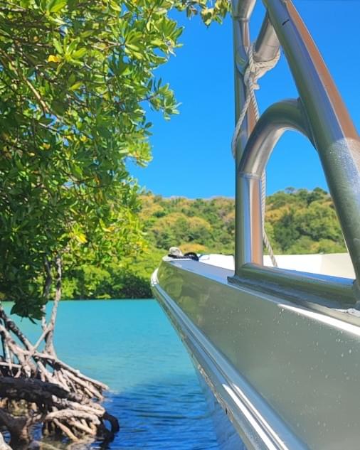 excursion-nautique-eco-martinique-seatheway