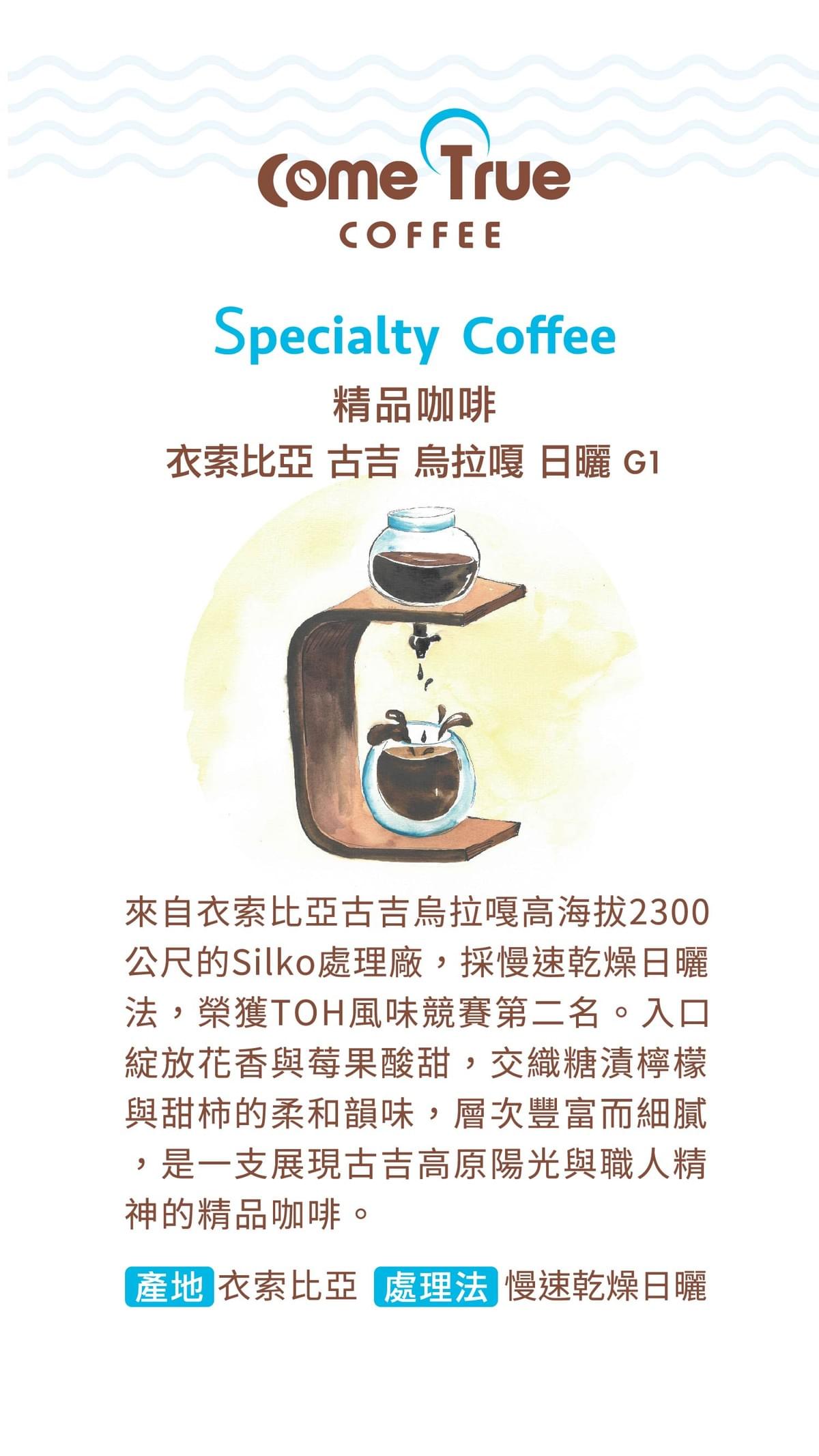 淺焙【衣索比亞 古吉 烏拉嘎 𝗚𝟭】日曬  掛耳包 / 濾掛包