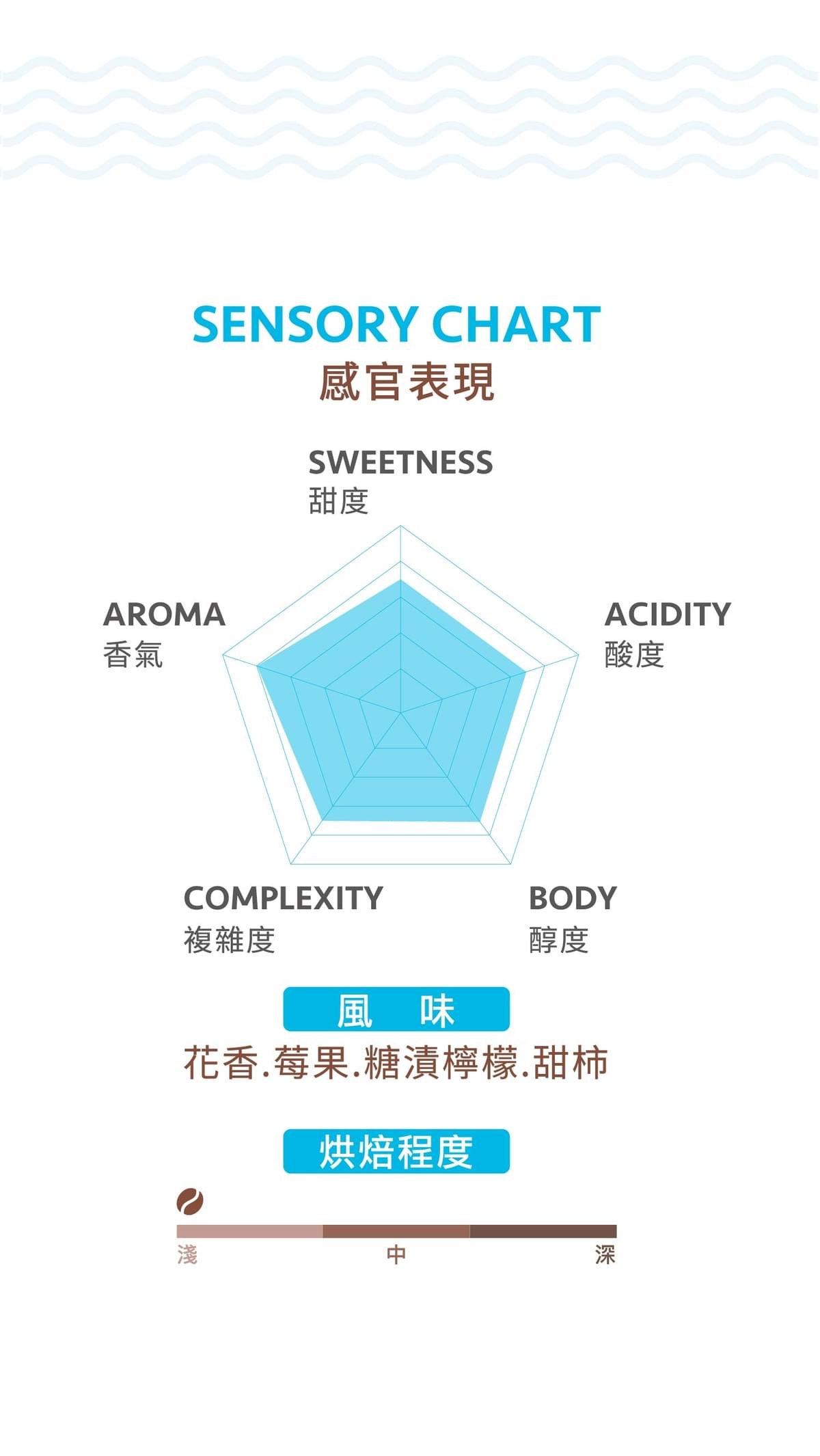 淺焙【衣索比亞 古吉 烏拉嘎 𝗚𝟭】日曬  掛耳包 / 濾掛包