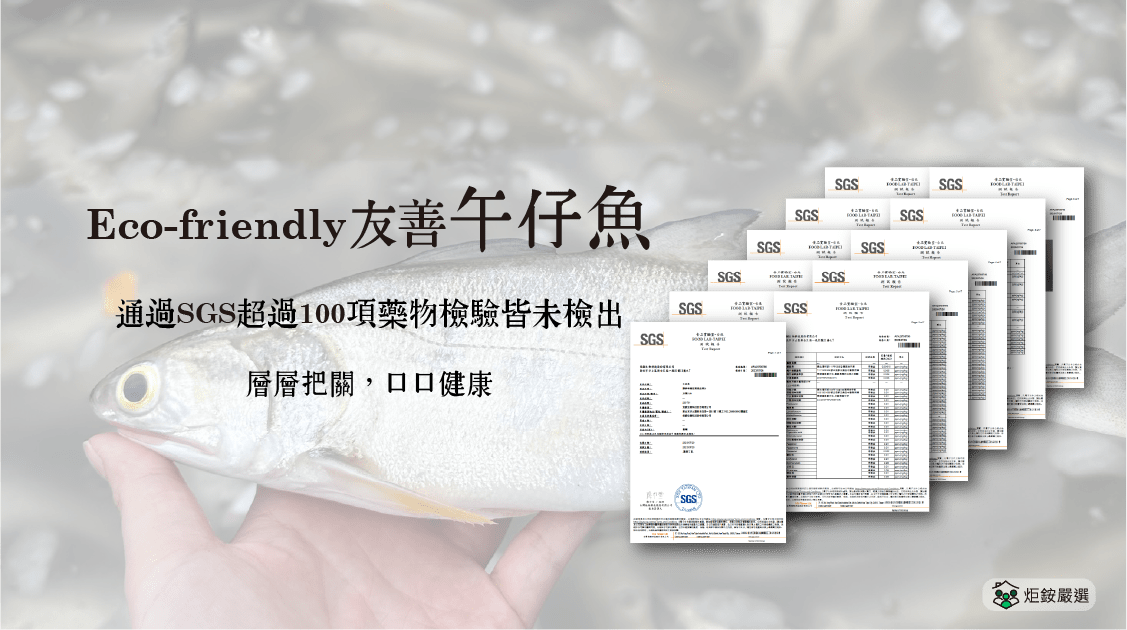 鮮凍午仔魚（三去）