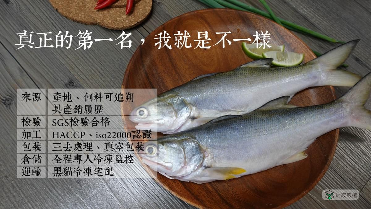 鮮凍午仔魚（三去）