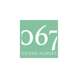 067 conseil en stratégie marketing e-commerce, SEO e-commerce, Migration Shopify