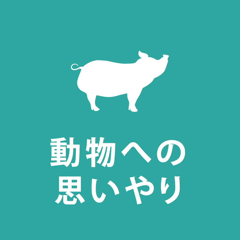 Vegefarm stands for animal welfare — every bite supports compassion, without compromise on flavor.