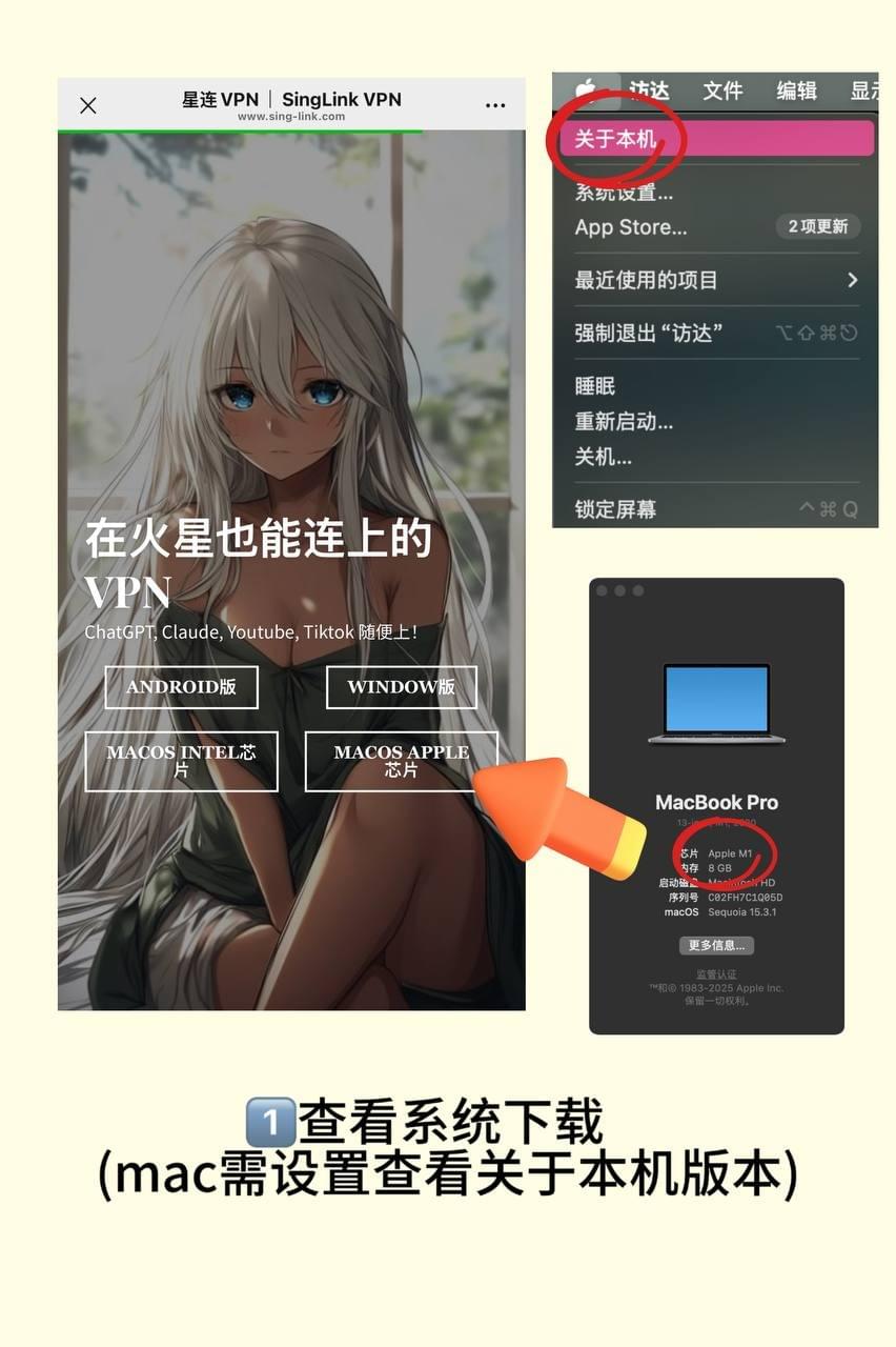 星连VPN使用教程