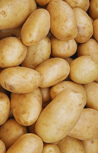 Noon International Sustainable Potato Farm