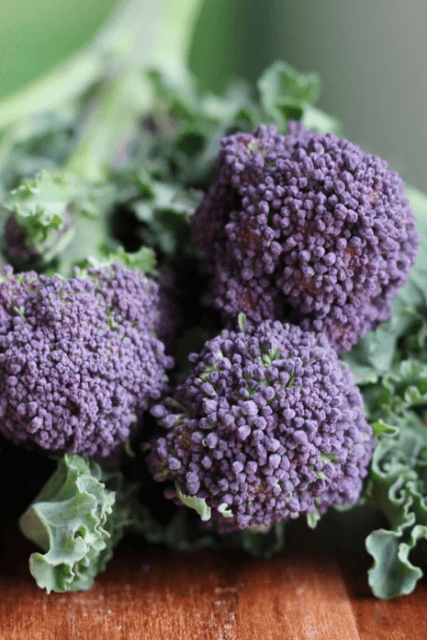 MarBran and Noon International Mexican Street Corn