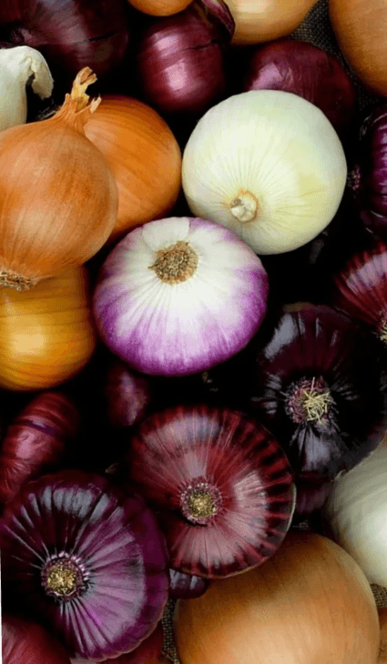 Noon International Onion Supplier Broker Midwest Northwest Seattle WA