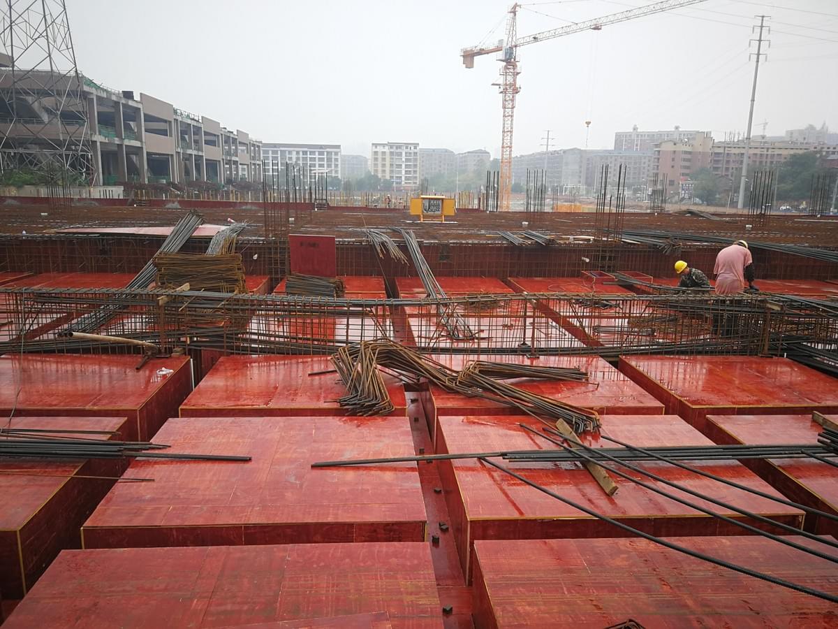  eucalyptus construction plywood