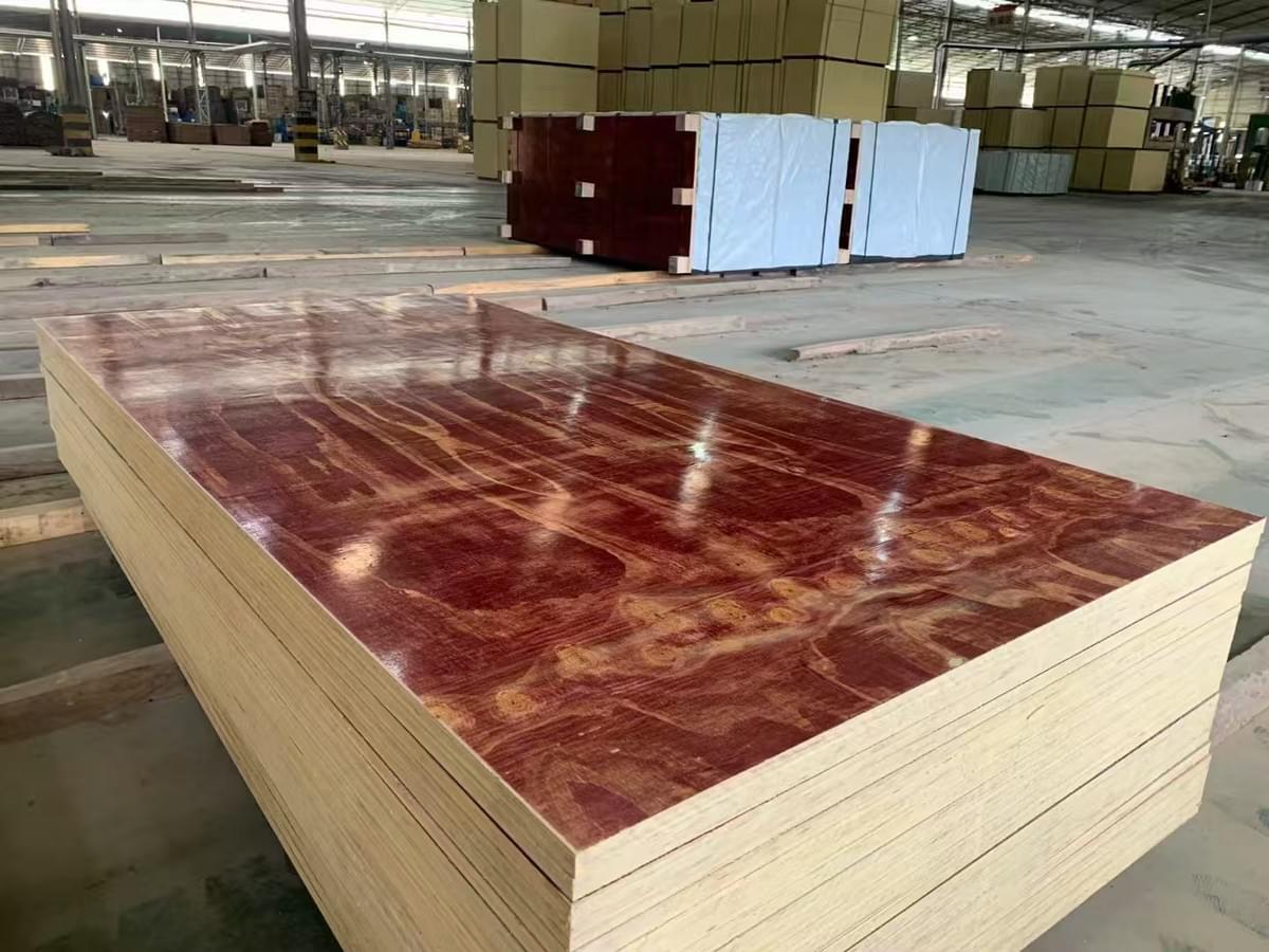  eucalyptus construction plywood