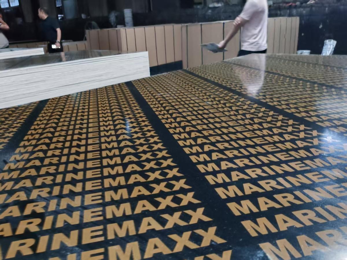 eucalyptus core film faced plywood