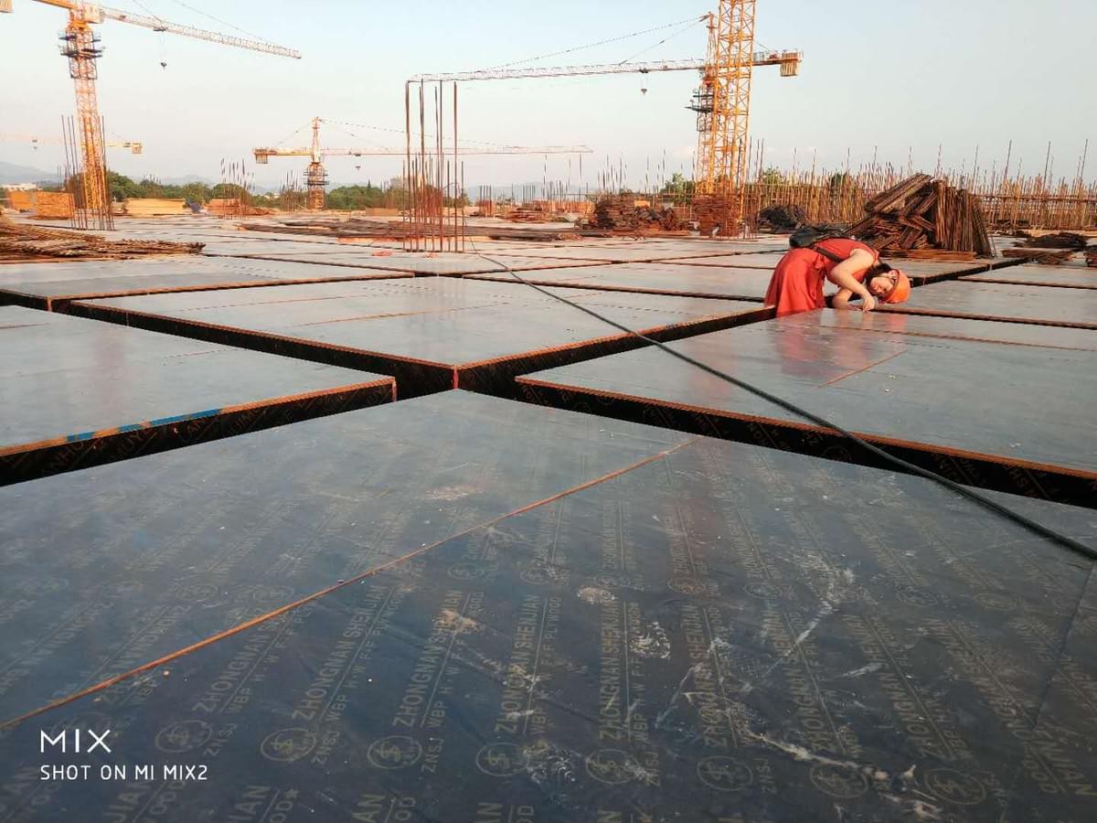 film-coated phenolic plywood