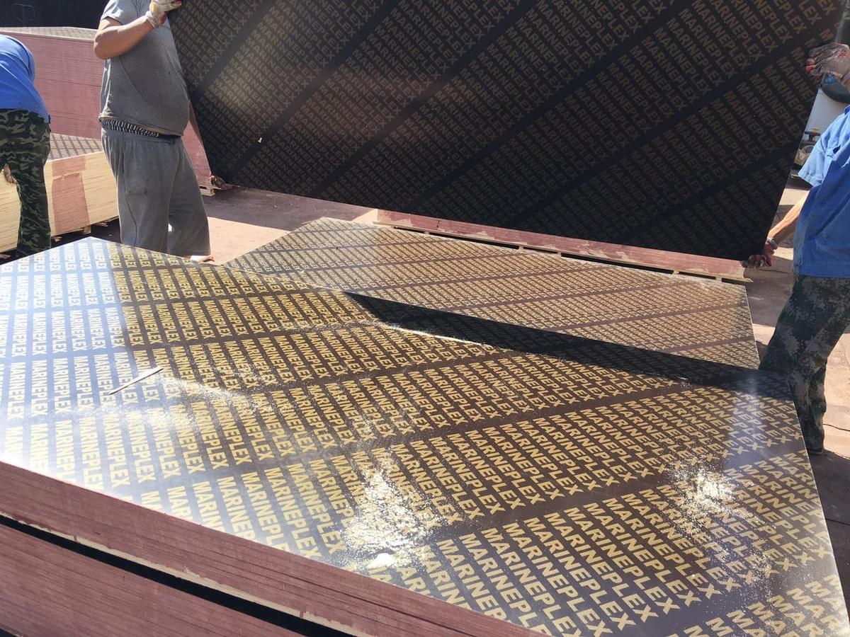 Black Poplar Core Film Faced Plywood