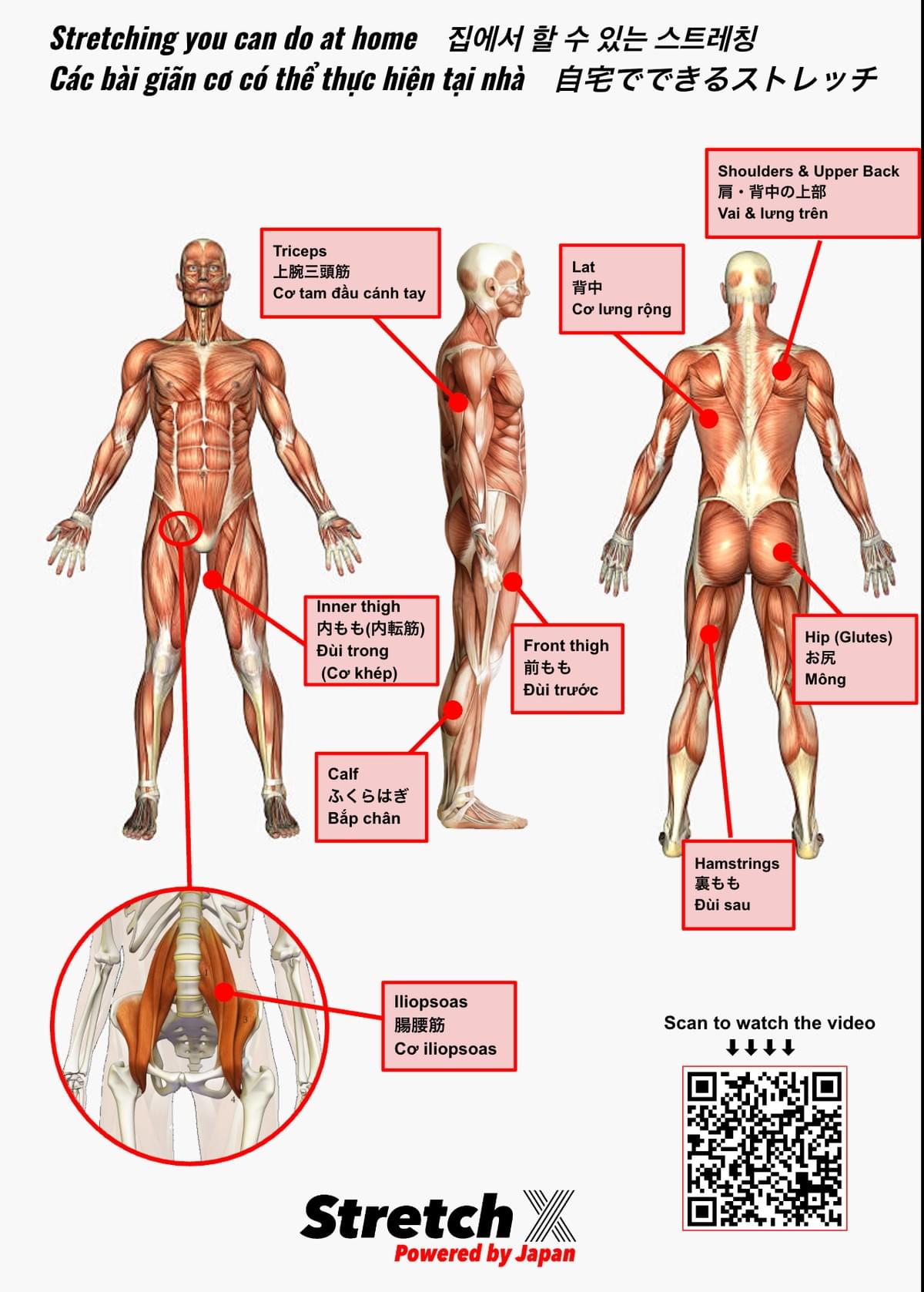 Stretch Map