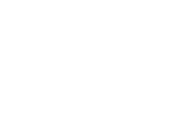 GSI Conseil - Gouvernance des Systèmes d'Information