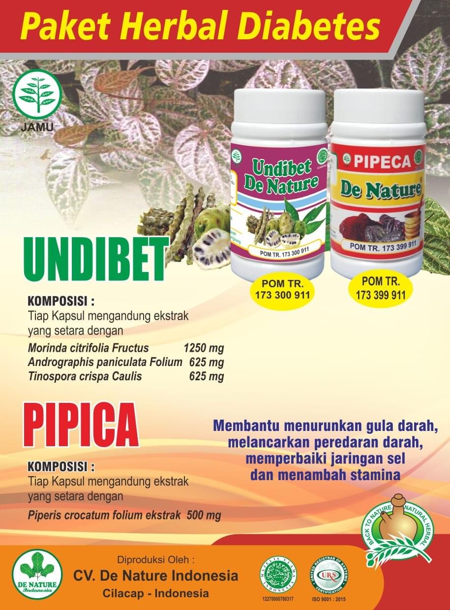 Cara cepat mengobati diabetes secara alami - Obat diabe...