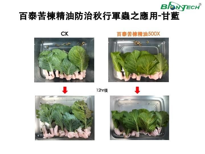 苦楝精油