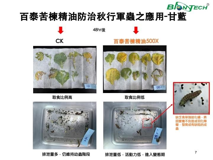 苦楝精油