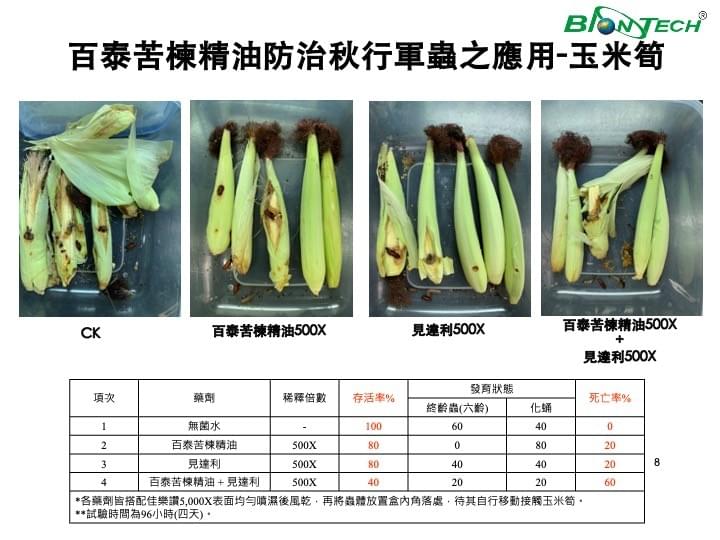 苦楝精油