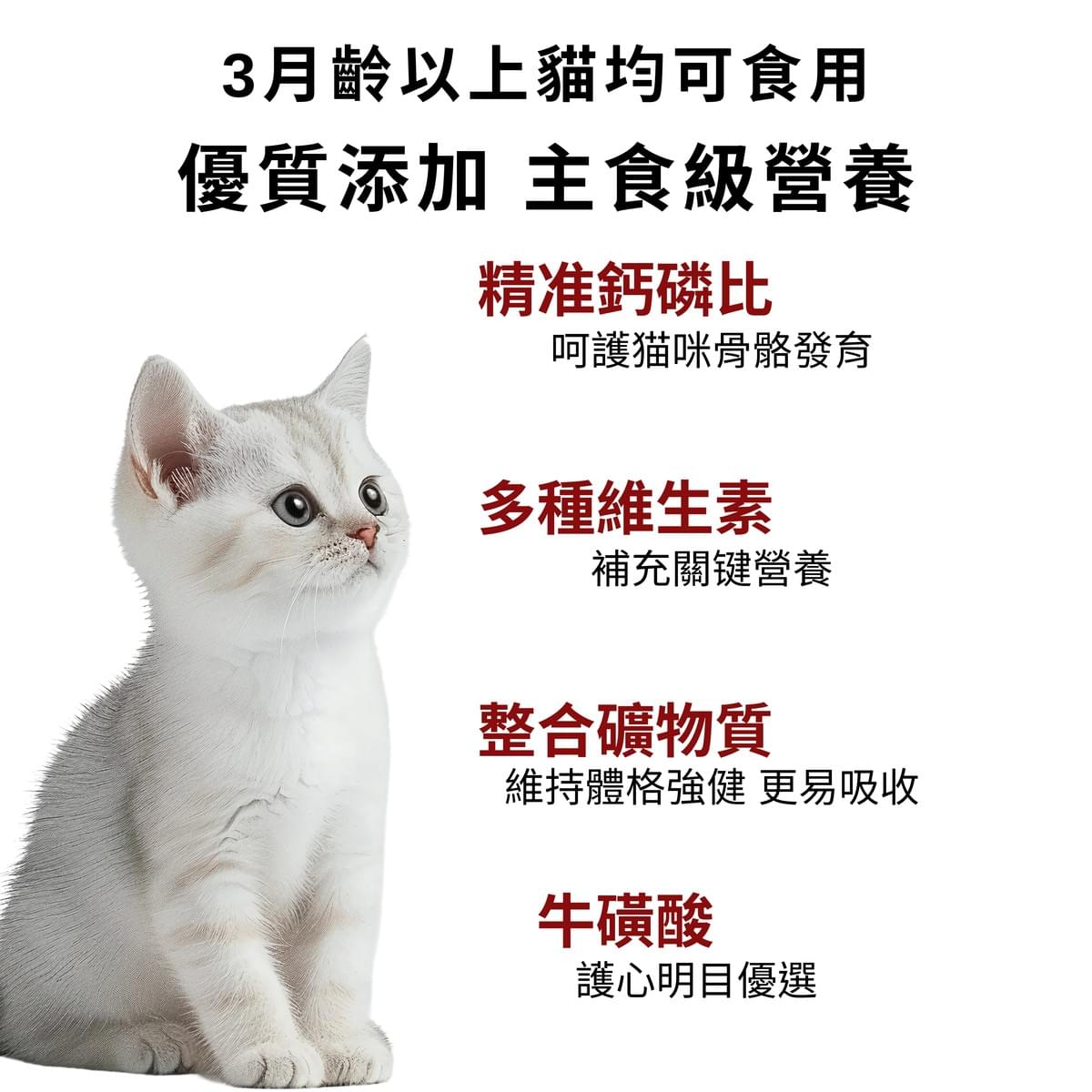 添賜 全價免疫貓罐頭85g 