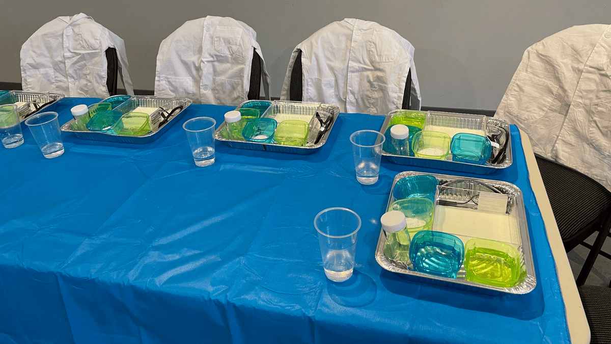 Kids Science Birthday Party Wacky Mad Scientist Character Special Event Edmonton