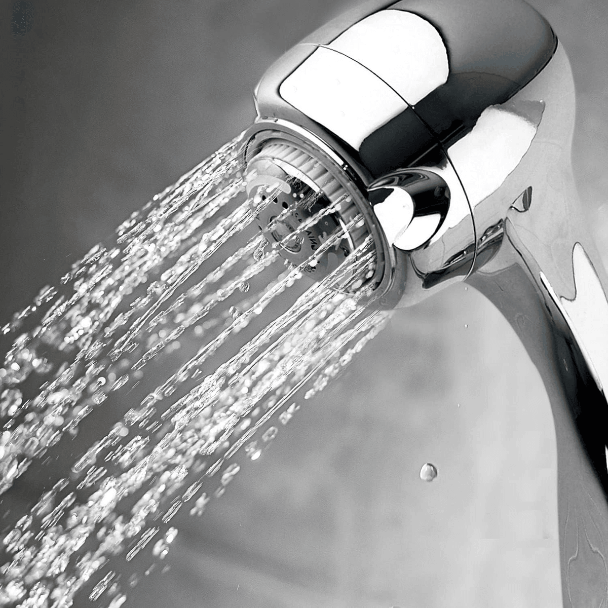 Rising Bath 3-Spray with 1.5 GPM 2.7-in. Wall Mount Handheld Shower Head in Chrome, 1-Pack Bathroom 