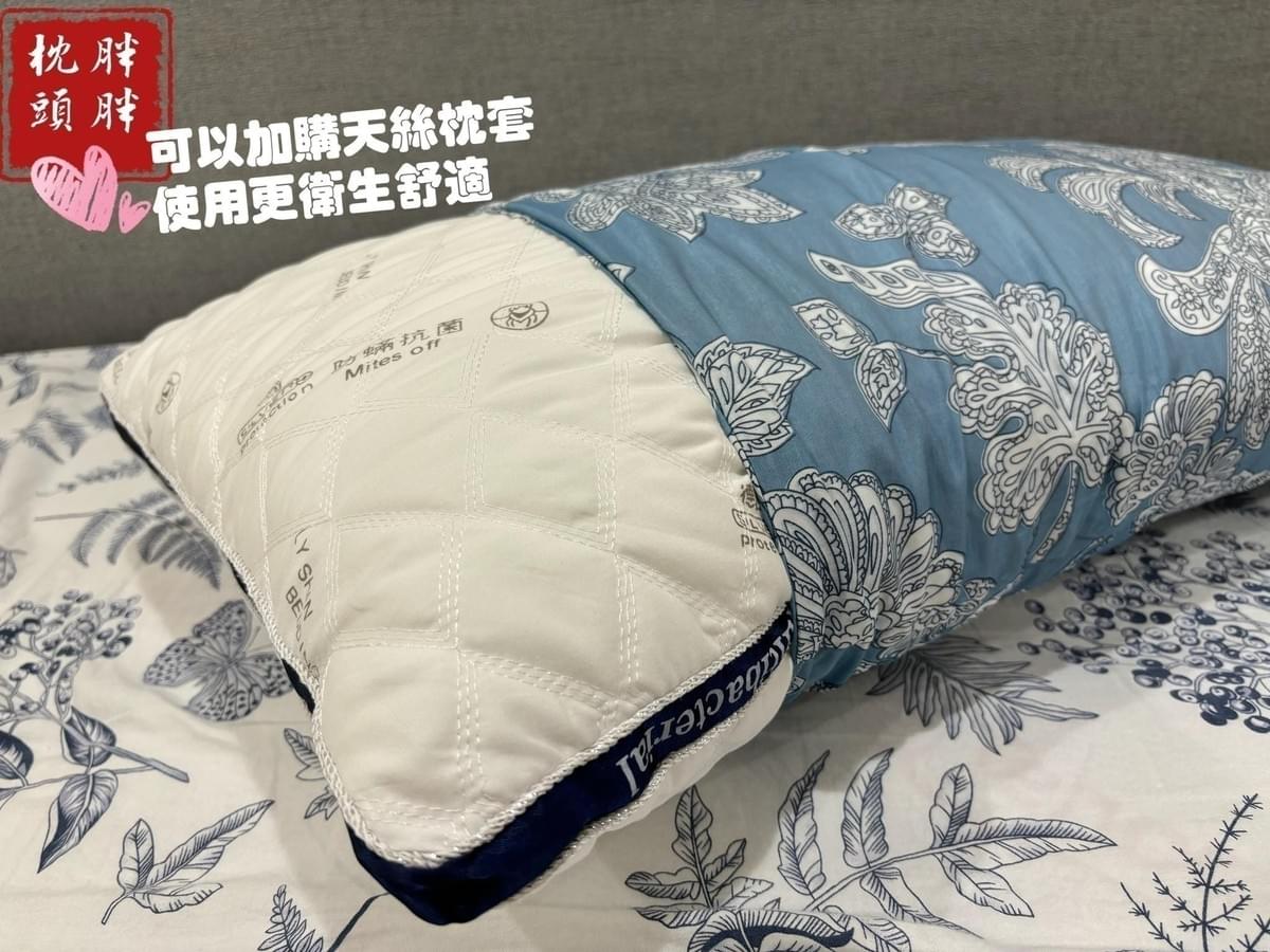『立新寢具』德國銀離子防蟎抗菌立體舒眠枕—1/12~1/30