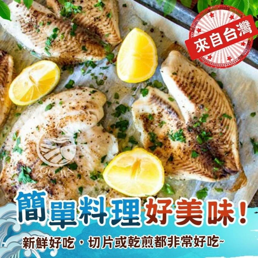 『歐嘉嚴選』台灣外銷級單片鯛魚排—8/6~8/26