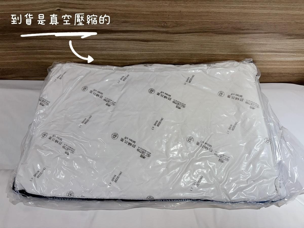 『立新寢具』德國銀離子防蟎抗菌立體舒眠枕—1/12~1/30