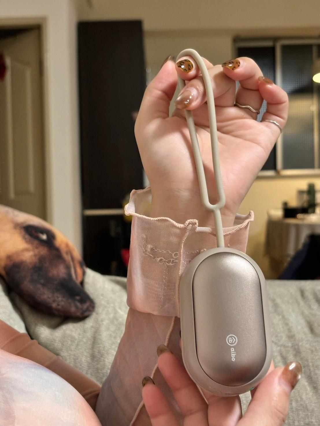 『aibo』二合一磁吸分離式 暖手寶/暖蛋—1/2~1/21