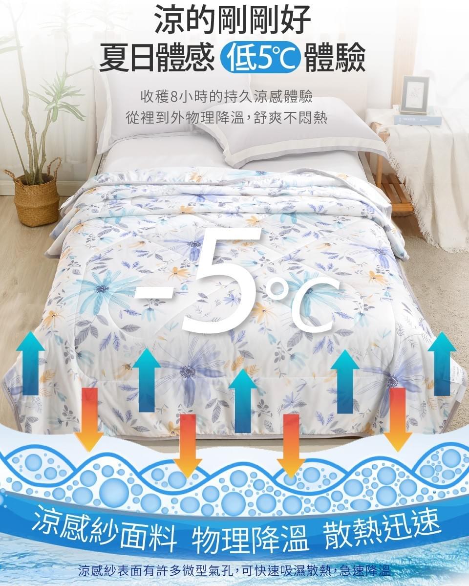 『立新寢具』沁涼抗菌涼感紗雪糕夏涼被—5/29~6/16
