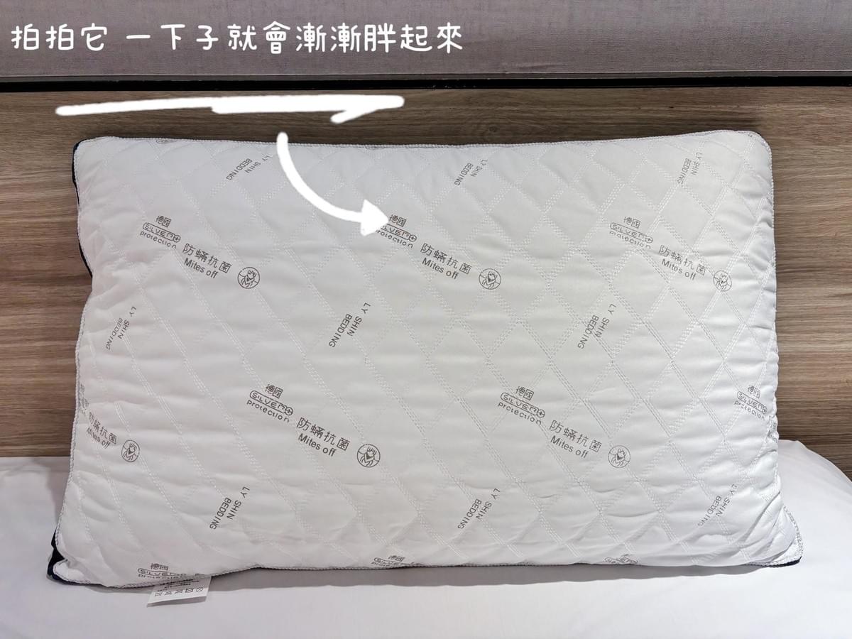『立新寢具』德國銀離子防蟎抗菌立體舒眠枕—1/12~1/30
