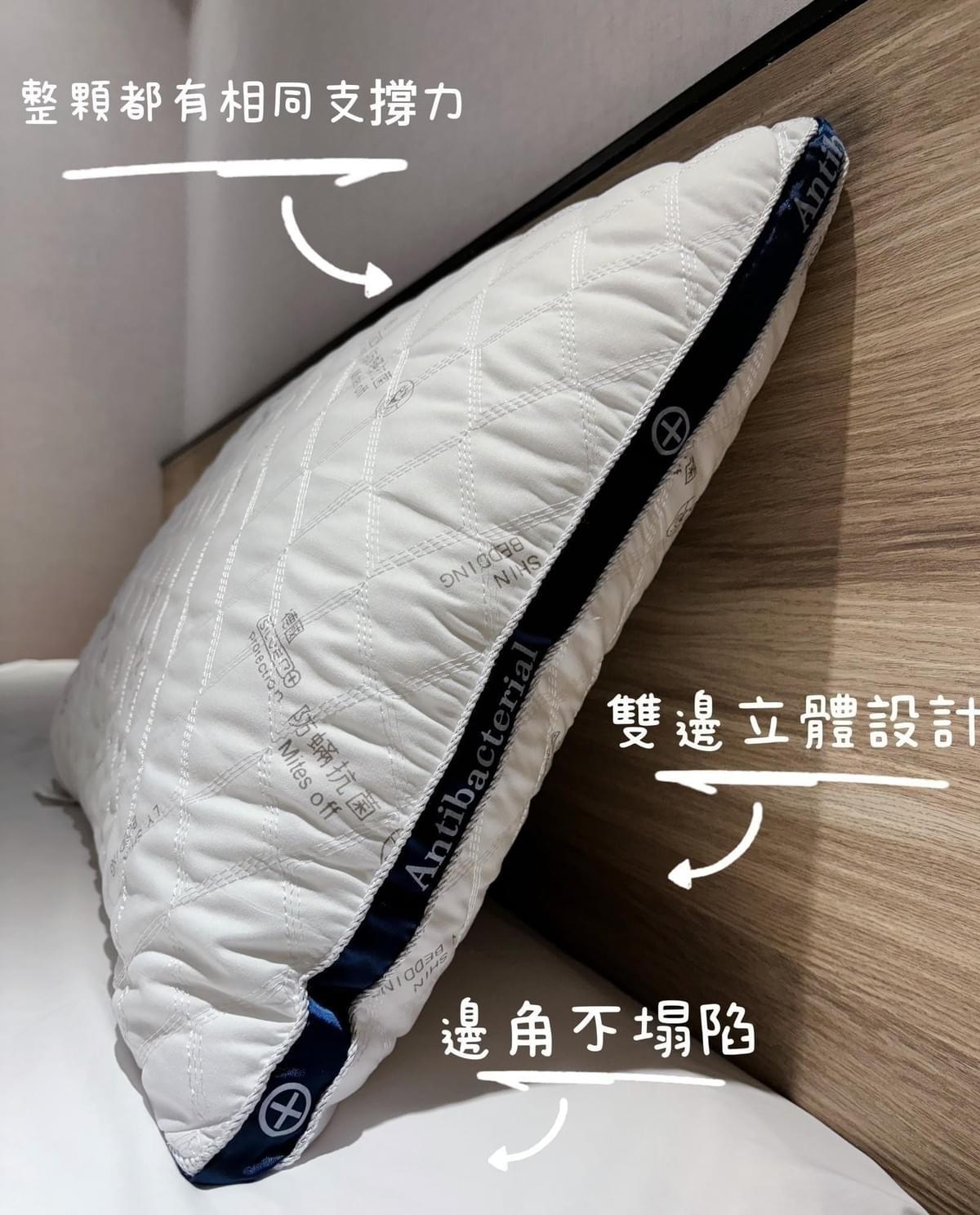 『立新寢具』德國銀離子防蟎抗菌立體舒眠枕—1/12~1/30