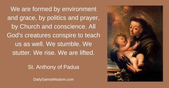 We are formed by environment and grace, by politics and prayer, by Church and conscience. All God's creatures conspire to teach us as well. We stumble. We stutter. We rise. We are lifted. -  St. Anthony of Padua DailySaintsWisdom.com with an image of Saint Anthony of Padua