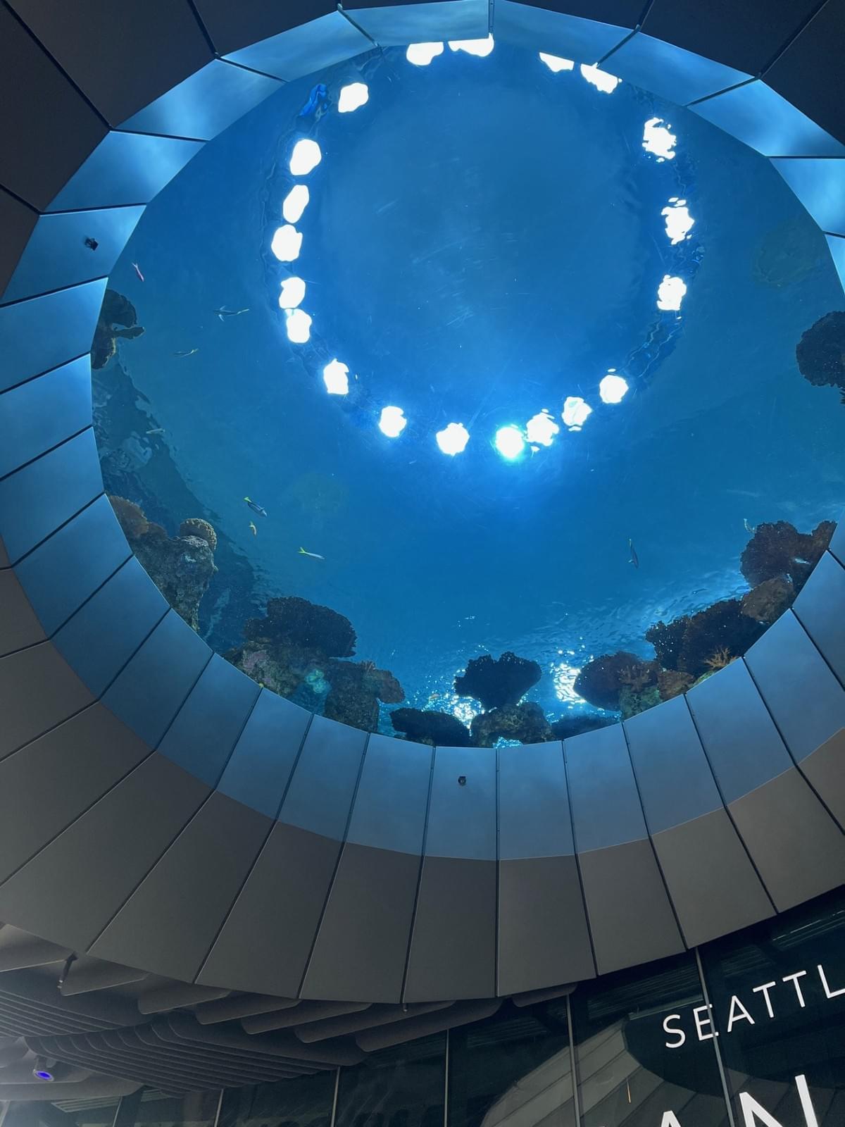 We carefully select unique and interesting locations for our scavenger hunts. Each site is chosen to enhance the adventure, providing not only a fun challenge but also an opportunity to explore new places and create lasting memories with friends and colleagues. Memorable Locations What We Offer Scavenger Hunt