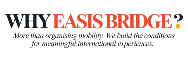 EASIS Bridge network connecting Portugal with schools, companies and educational partners across Europe
