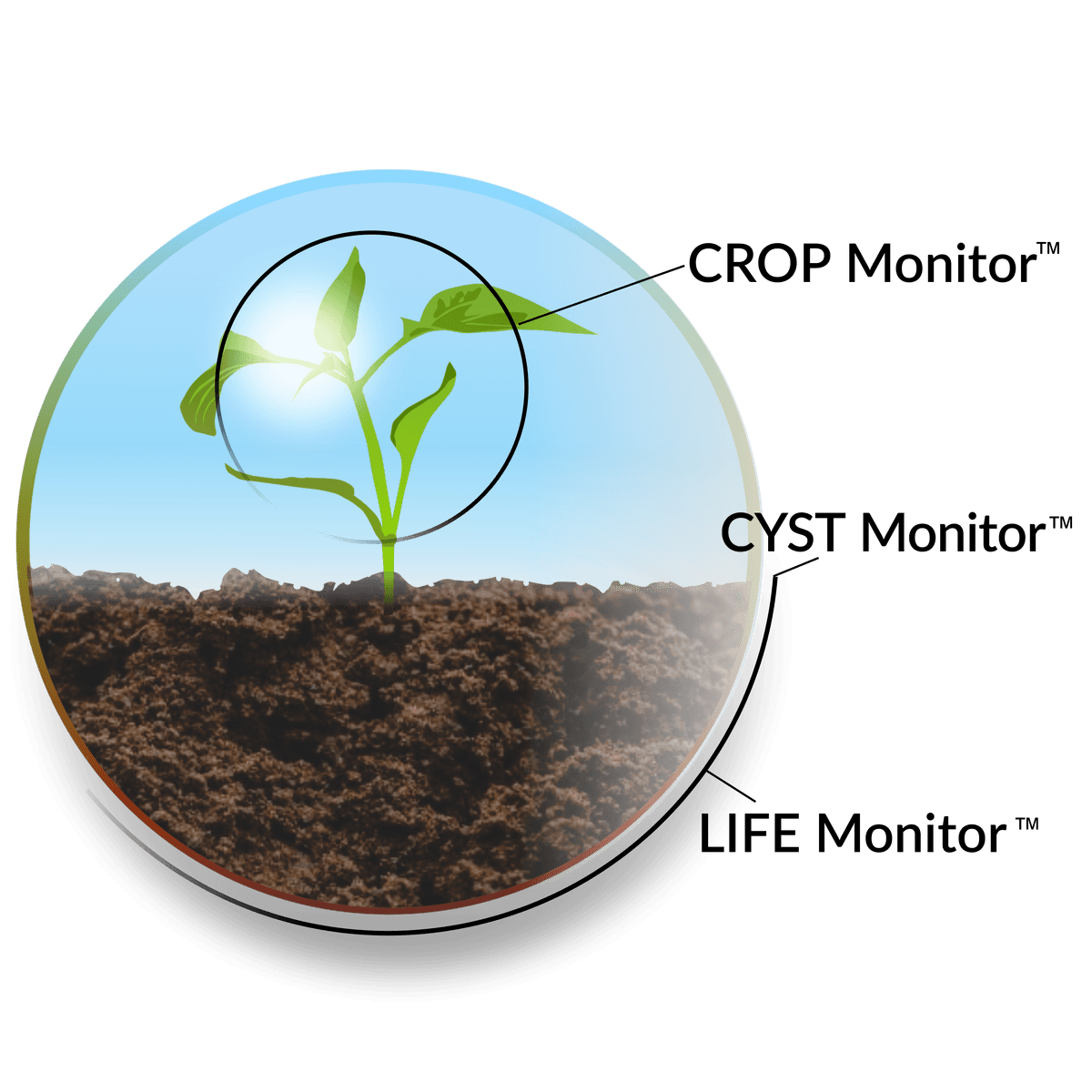 Antonie's Solutions ™