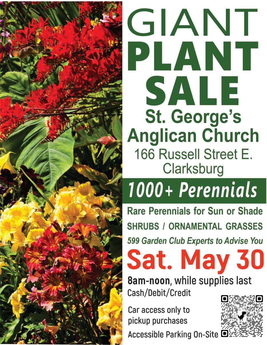 Our association highlights local businesses through marketing initiatives, helping them reach more customers and thrive. Business Promotion What We Do a Non Profit organizaiton promoting businesses in the Village of Clarksburg, The Blue Mountains Ontario