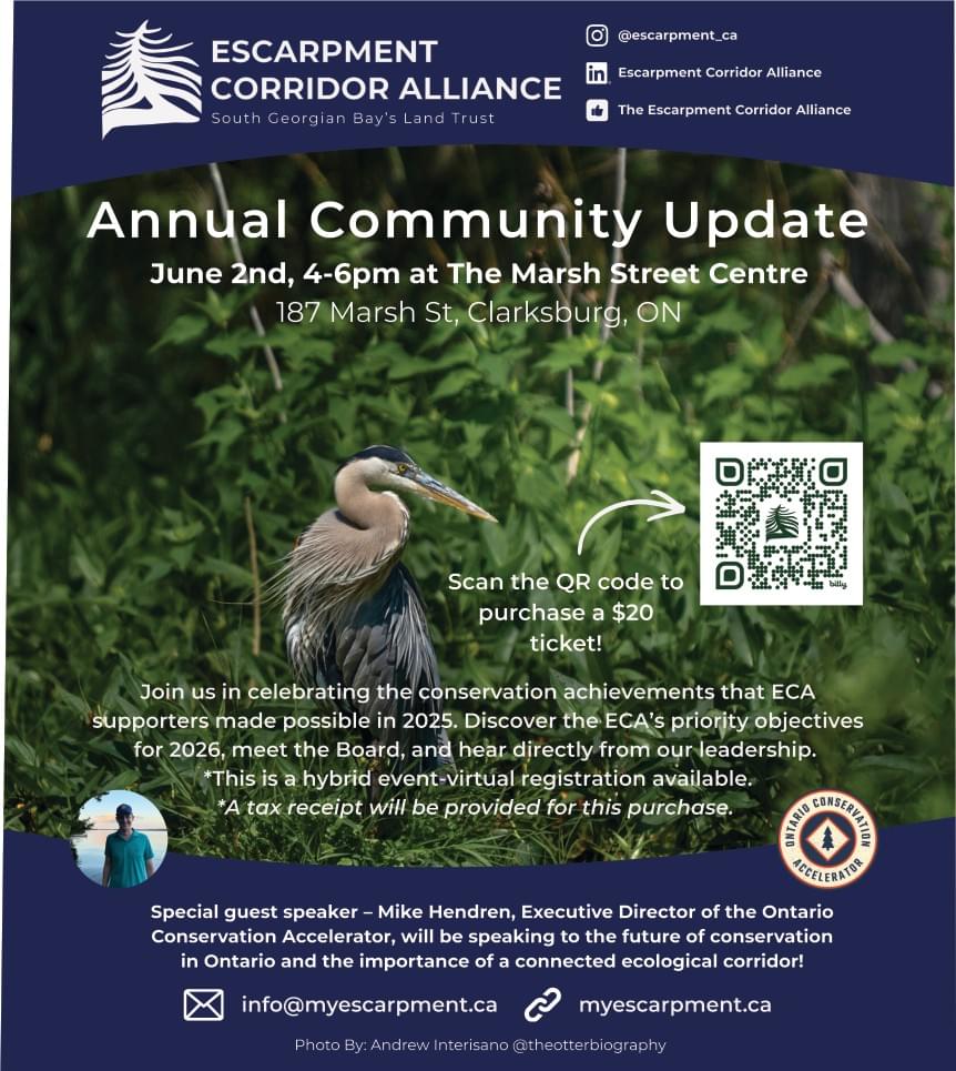 We create networking opportunities for business owners to share insights, build relationships, and grow together. Networking Opportunities What We Do a Non Profit organizaiton promoting businesses in the Village of Clarksburg, The Blue Mountains Ontario