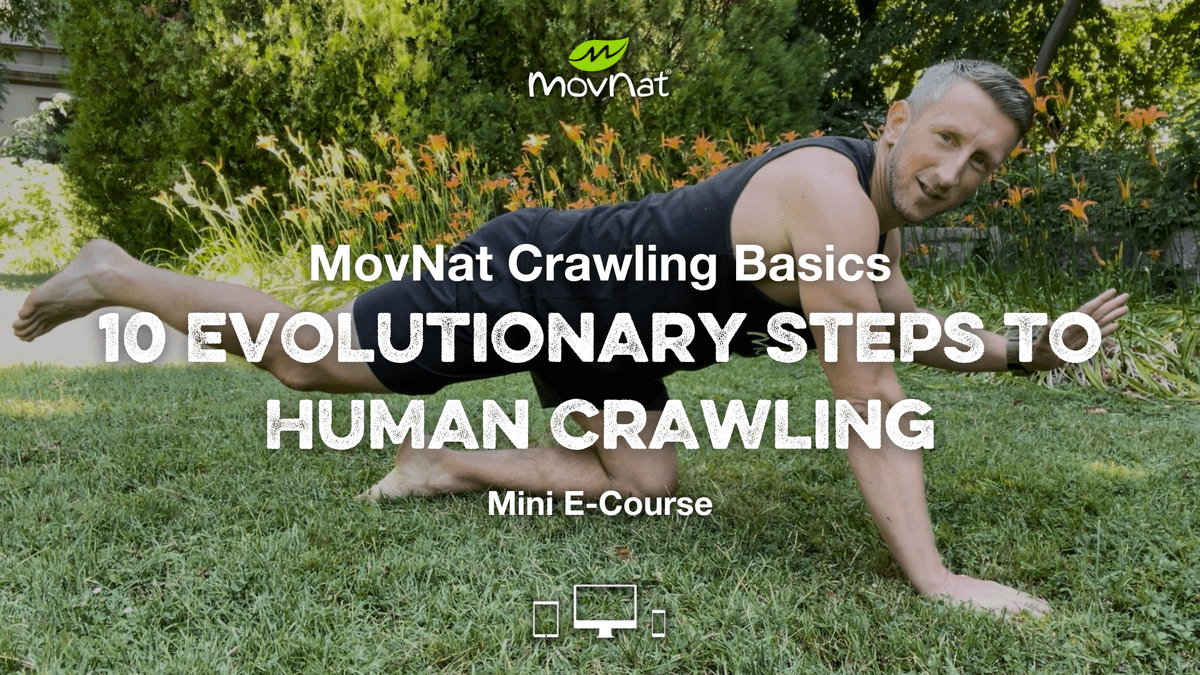 MovNat Crawling Basics Course