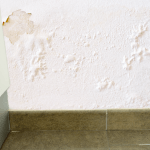 Water Leak Detection - Dodge City Kansas