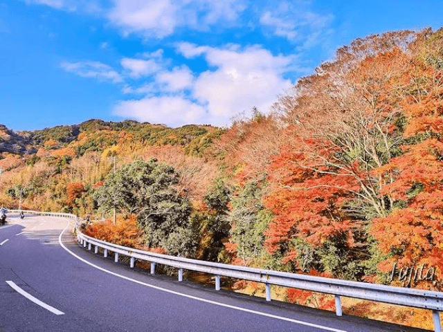 猫と暮らす古民家グランピング【和心村公式】|千葉富津・東京から1時間|サウナ&カフェも完備  千葉県富津市の豊かな自然に囲まれた和心村は、東京から車でわずか1時間、「人と動物と自然が調和する共生の村」をコンセプトにした唯一無二のグランピング