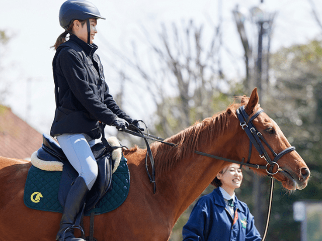 猫と暮らす古民家グランピング【和心村公式】|千葉富津・東京から1時間|サウナ&カフェも完備  千葉県富津市の豊かな自然に囲まれた和心村は、東京から車でわずか1時間、「人と動物と自然が調和する共生の村」をコンセプトにした唯一無二のグランピング