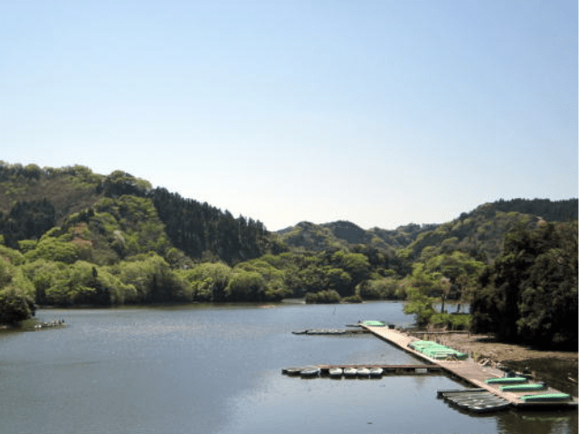 猫と暮らす古民家グランピング【和心村公式】|千葉富津・東京から1時間|サウナ&カフェも完備  千葉県富津市の豊かな自然に囲まれた和心村は、東京から車でわずか1時間、「人と動物と自然が調和する共生の村」をコンセプトにした唯一無二のグランピング