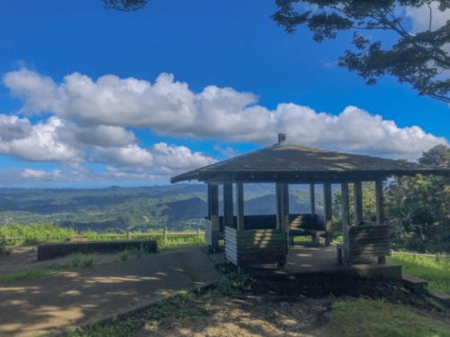 猫と暮らす古民家グランピング【和心村公式】|千葉富津・東京から1時間|サウナ&カフェも完備  千葉県富津市の豊かな自然に囲まれた和心村は、東京から車でわずか1時間、「人と動物と自然が調和する共生の村」をコンセプトにした唯一無二のグランピング