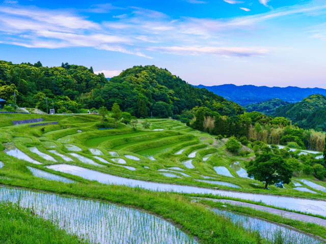 猫と暮らす古民家グランピング【和心村公式】|千葉富津・東京から1時間|サウナ&カフェも完備  千葉県富津市の豊かな自然に囲まれた和心村は、東京から車でわずか1時間、「人と動物と自然が調和する共生の村」をコンセプトにした唯一無二のグランピング