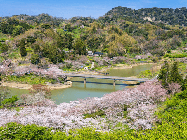 猫と暮らす古民家グランピング【和心村公式】|千葉富津・東京から1時間|サウナ&カフェも完備  千葉県富津市の豊かな自然に囲まれた和心村は、東京から車でわずか1時間、「人と動物と自然が調和する共生の村」をコンセプトにした唯一無二のグランピング