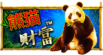 免费试玩 PP电子熊猫财富│热门经典高爆发老虎机推荐