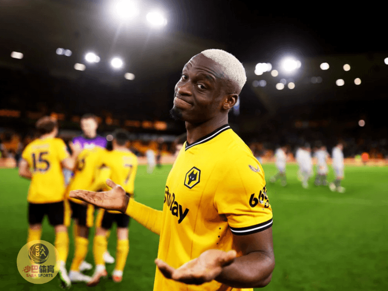 沙巴体育官网、沙巴体育、狼队